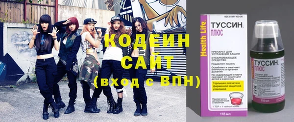 ГАЛЛЮЦИНОГЕННЫЕ ГРИБЫ Лагань