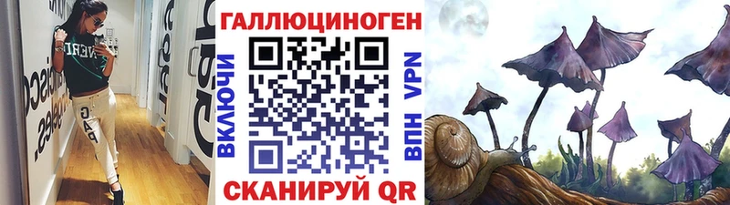 Псилоцибиновые грибы Cubensis Лангепас